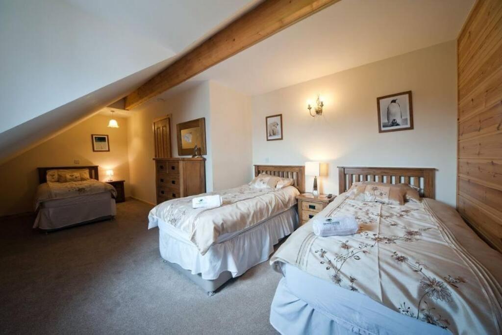 Beech Tree Eco Lodge Brecon Exterior photo